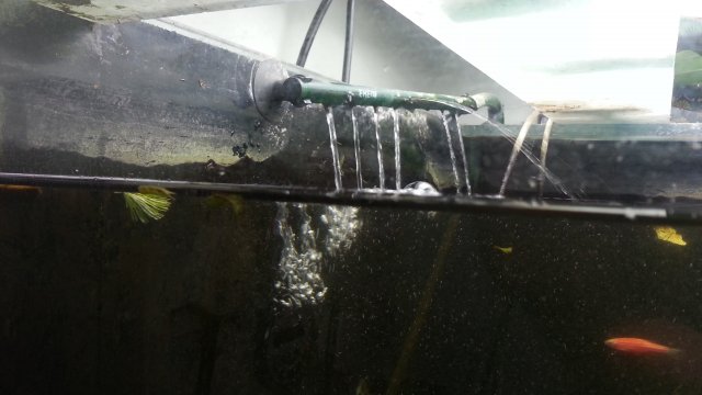 what should be the position of filter outlet in planted tank |  AquariaCentral.com